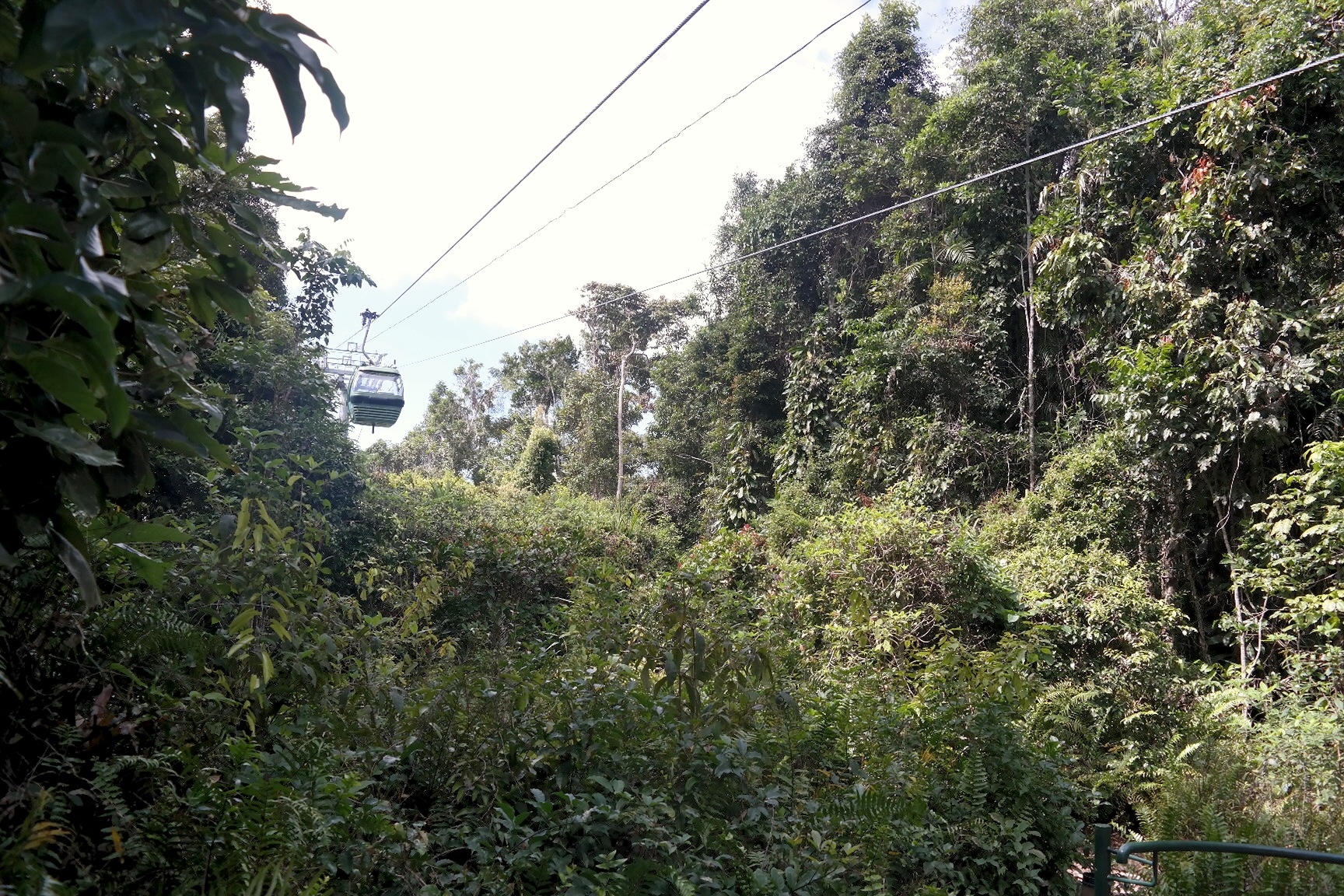 skyrail cableway seilbahn regenwald cairns ausflug tagesausflug scenic train zugfahrt erfahrungsbericht cairns kuranda mit baby #missbbdownunder tierpark schmetterlingpark vogelpark